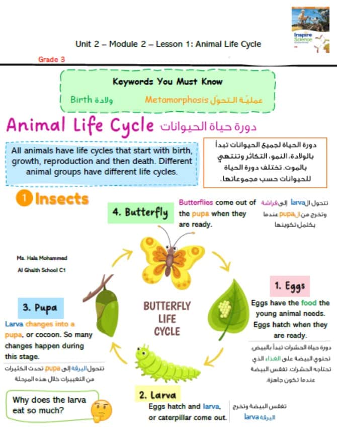 ملخص درس Animal Life Cycle العلوم المتكاملة الصف الثالث