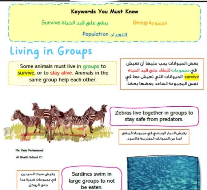 ملخص درس Animal Group Survival العلوم المتكاملة الصف الثالث