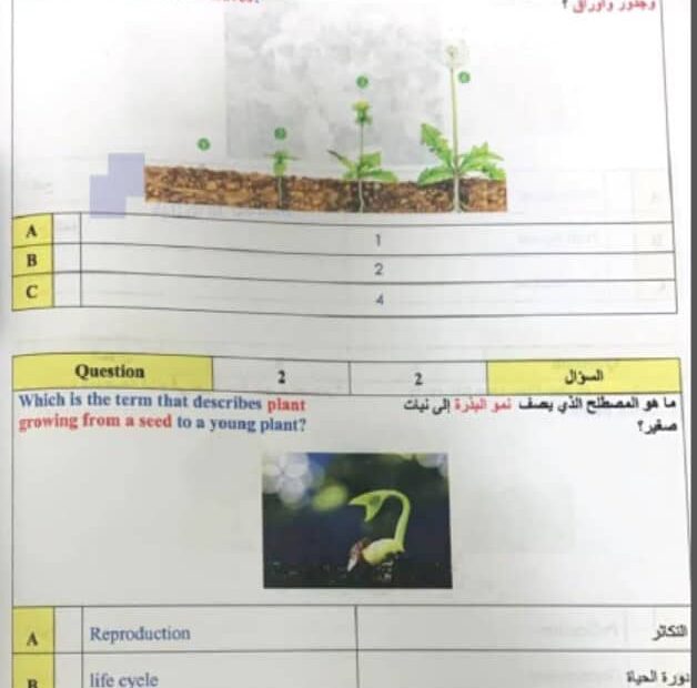 امتحان نهاية الفصل العلوم المتكاملة الصف الثالث Inspire الفصل الدراسي الثالث 2021-2022