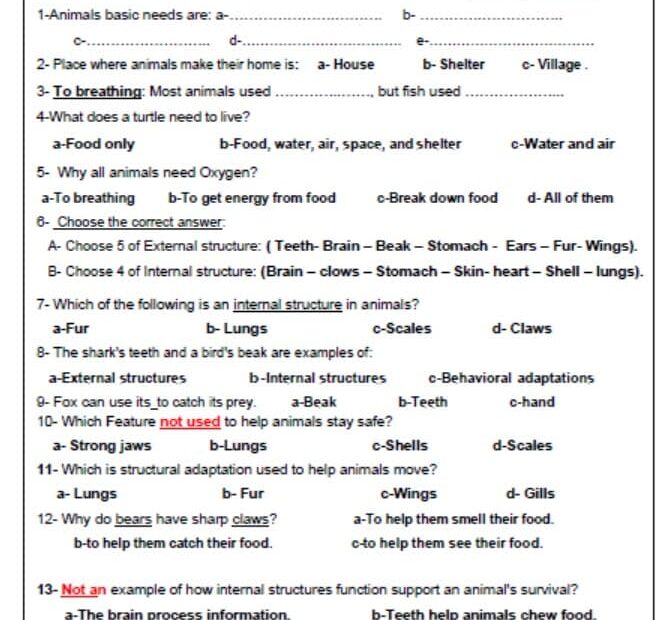 حل ورقة عمل Structures and Functions of Animals العلوم المتكاملة الصف الرابع