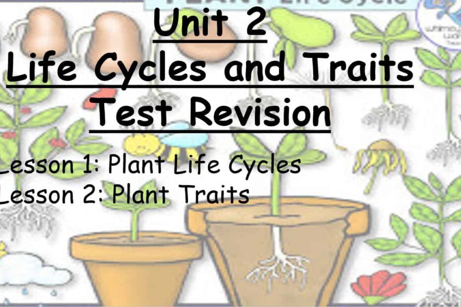مراجعة Life Cycles and Traits Test Revision العلوم المتكاملة الصف الثالث - بوربوينت