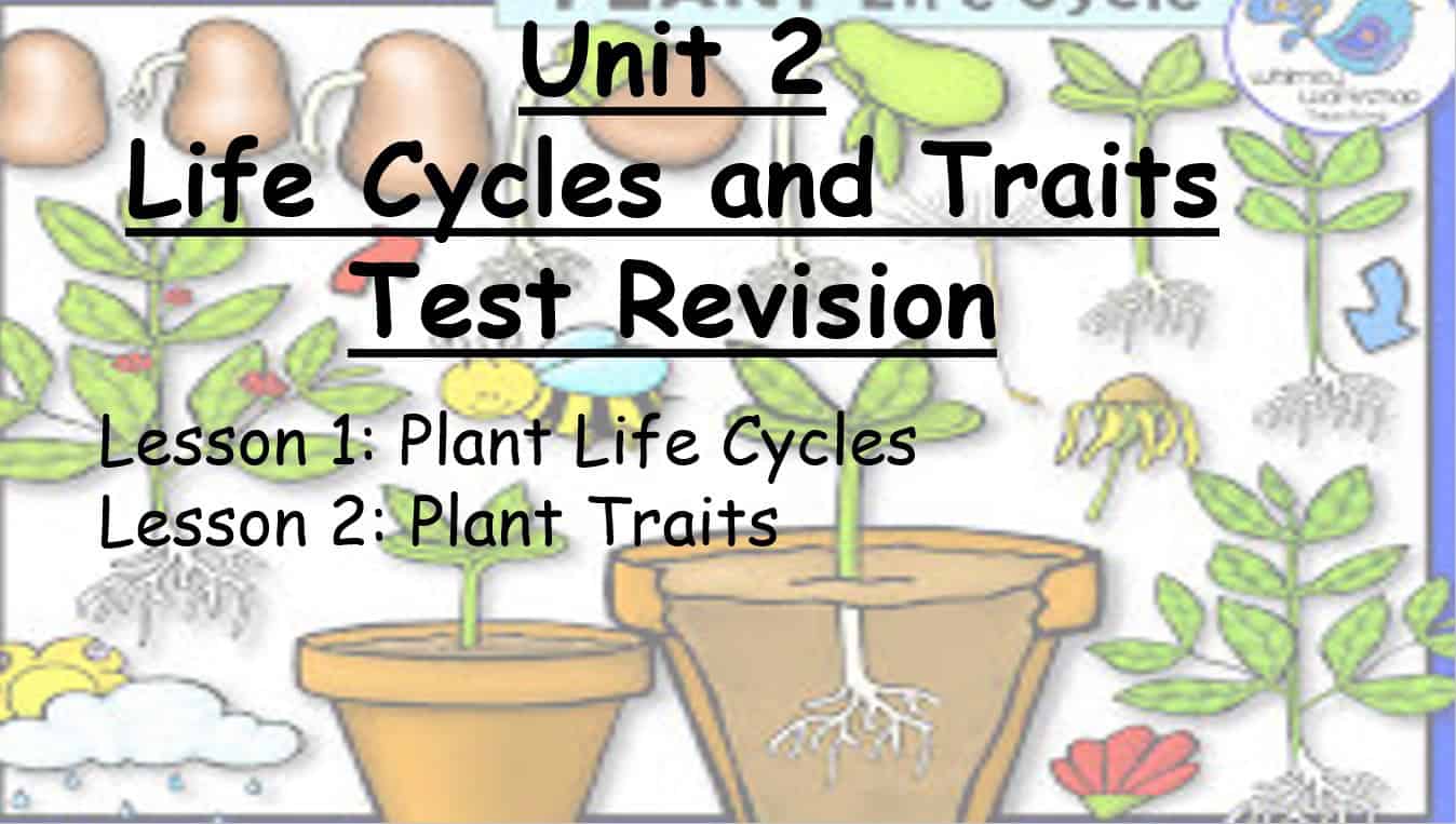 مراجعة Life Cycles and Traits Test Revision العلوم المتكاملة الصف الثالث - بوربوينت 