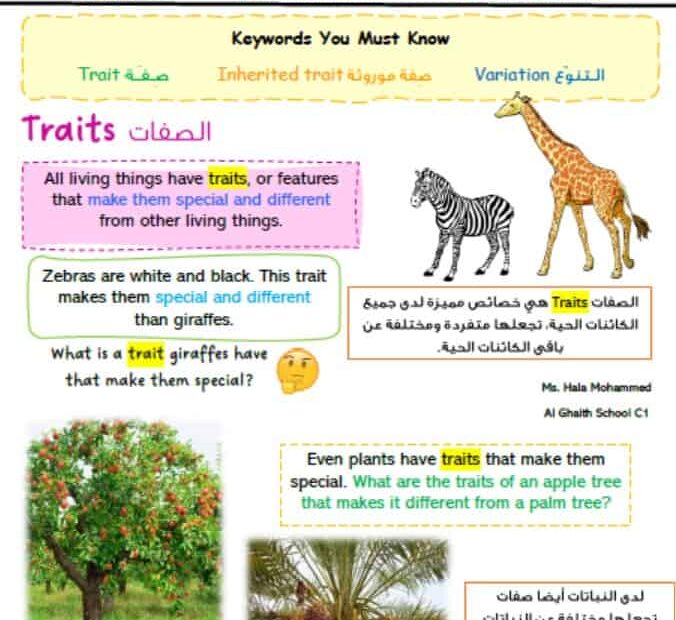 ملخص درس Plant Traits العلوم المتكاملة الصف الثالث