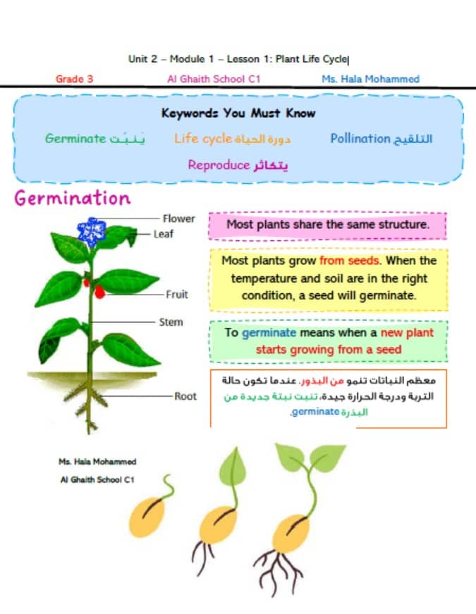 ملخص درس Plant Life Cycle العلوم المتكاملة الصف الثالث