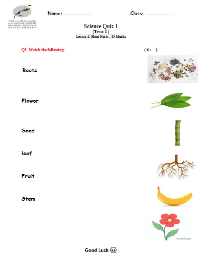 اختبار التقويم الأول Plant Parts العلوم المتكاملة الصف الأول