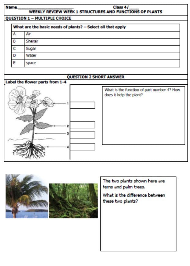 ورقة عمل STRUCTURES AND FUNCTIONS OF PLANTS العلوم المتكاملة الصف الرابع Inspire