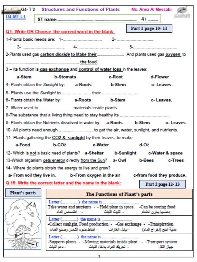 حل ورقة عمل STRUCTURES AND FUNCTIONS OF PLANTS العلوم المتكاملة الصف الرابع Inspire