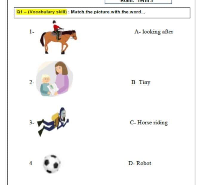 حل نموذج تدريبي اللغة الإنجليزية الصف الرابع