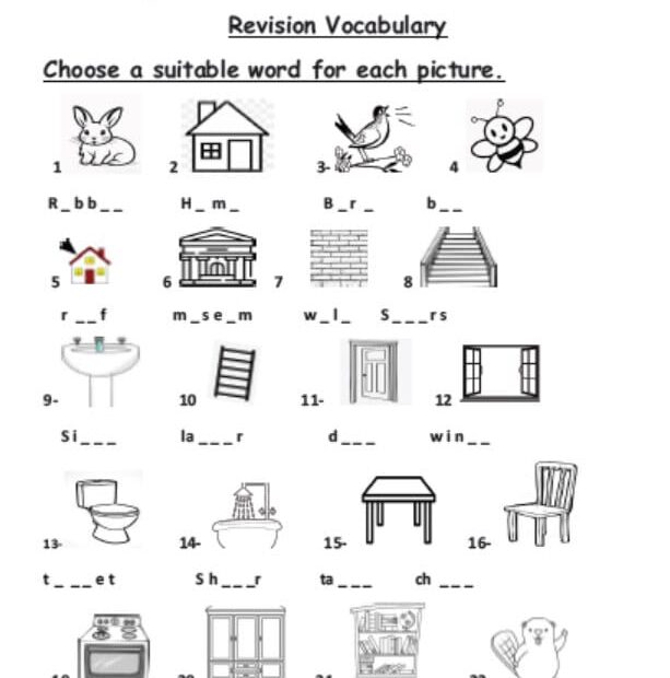 حل ورقة عمل Revision Vocabulary اللغة الإنجليزية الصف الثالث