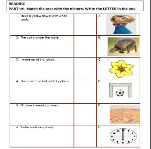 حل نموذج امتحان 3 اللغة الإنجليزية الصف الرابع