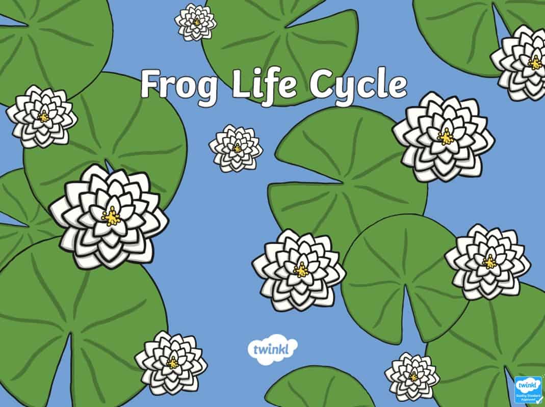 درس Frog life cycle العلوم المتكاملة الصف الثاني - بوربوينت