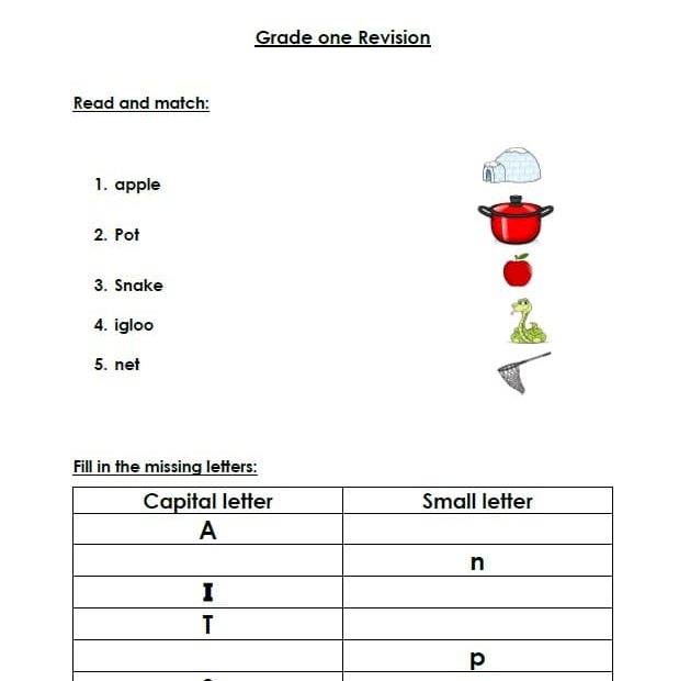 ورقة عمل Revision اللغة الإنجليزية الصف الأول