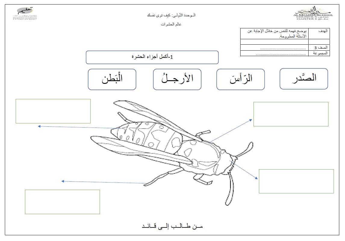 ورقة عمل عالم الحشرات اللغة العربية الصف الثالث