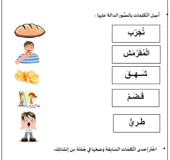 ورقة عمل مفردات وتراكيب مسعودة السلحفاة اللغة العربية الصف الثاني