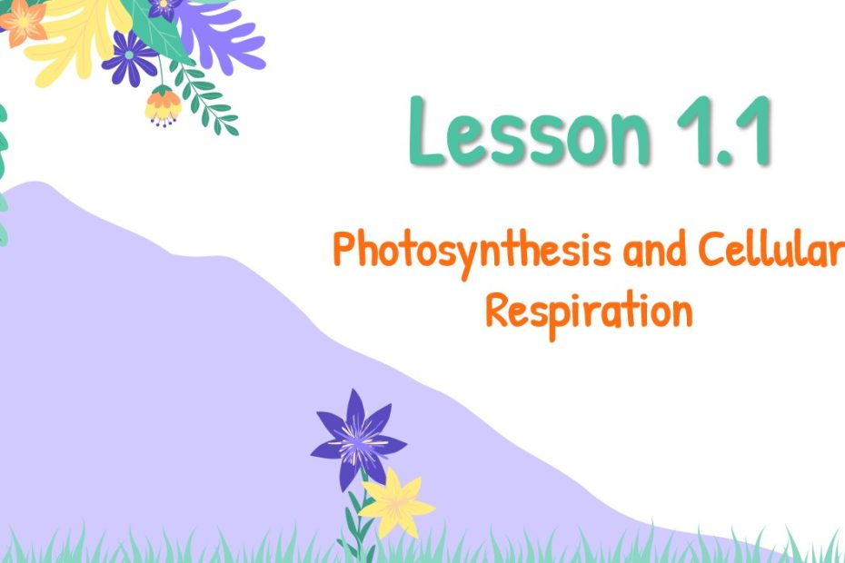 درس Photosynthesis and Cellular Respiration العلوم المتكاملة الصف السابع - بوربوينت