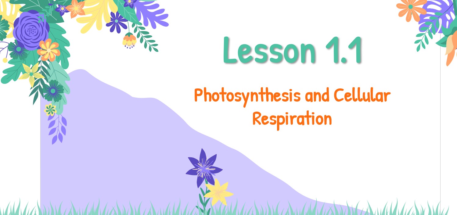 درس Photosynthesis and Cellular Respiration العلوم المتكاملة الصف السابع - بوربوينت