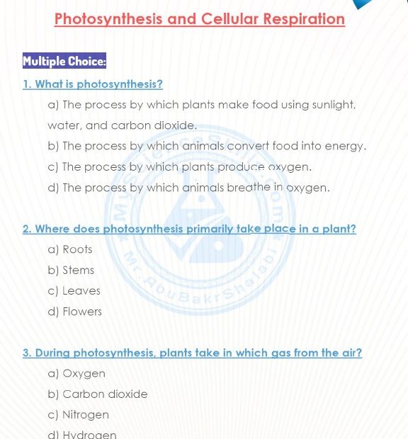 حل ورقة عمل Photosynthesis and Cellular Respiration العلوم المتكاملة الصف السابع