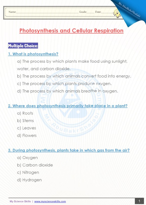 حل ورقة عمل Photosynthesis and Cellular Respiration العلوم المتكاملة الصف السابع