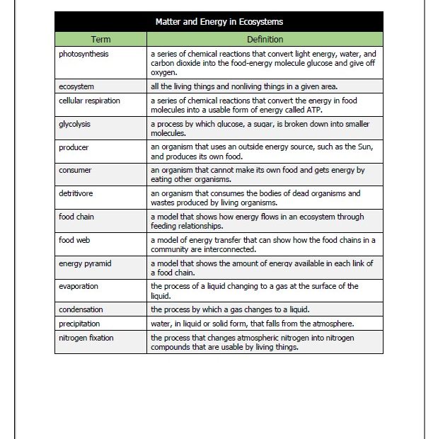 حل أوراق عمل Matter and Energy in Ecosystems العلوم المتكاملة الصف السابع