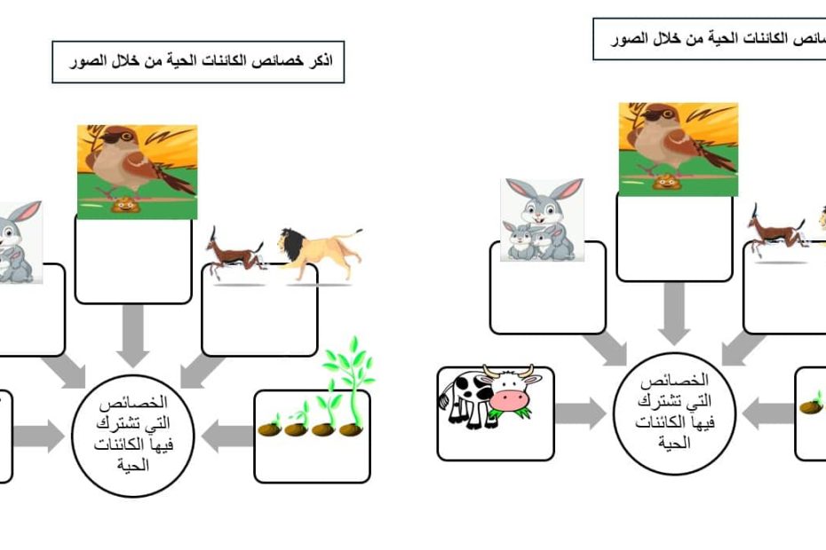 أوراق عمل متنوعة العلوم المتكاملة الصف الثالث - بوربوينت