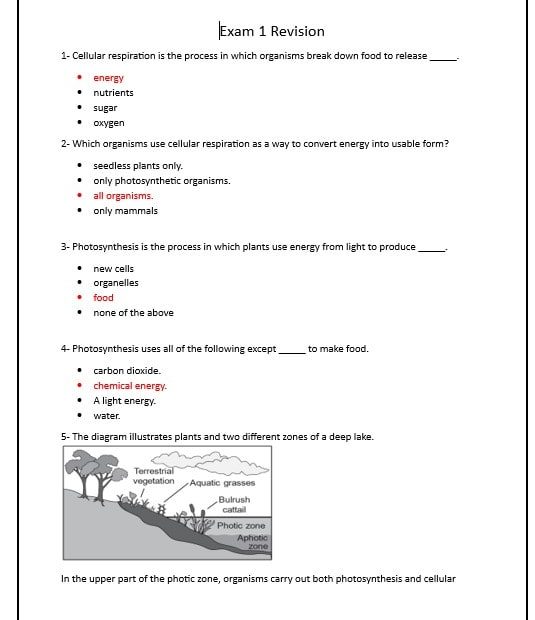 حل مراجعة Exam 1 Revision العلوم المتكاملة الصف السابع