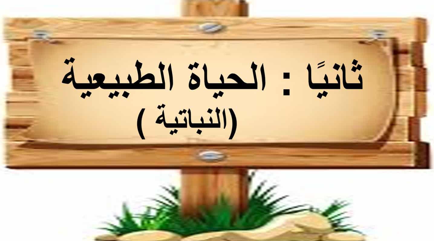 حل درس الحياة الطبيعية النباتية الدراسات الإجتماعية والتربية الوطنية الصف الرابع - بوربوينت 