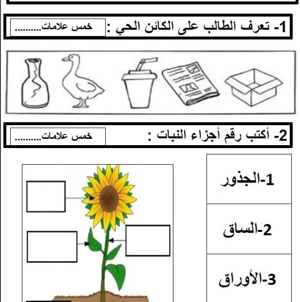 اختبار الوحدة الثانية العلوم المتكاملة الصف الأول