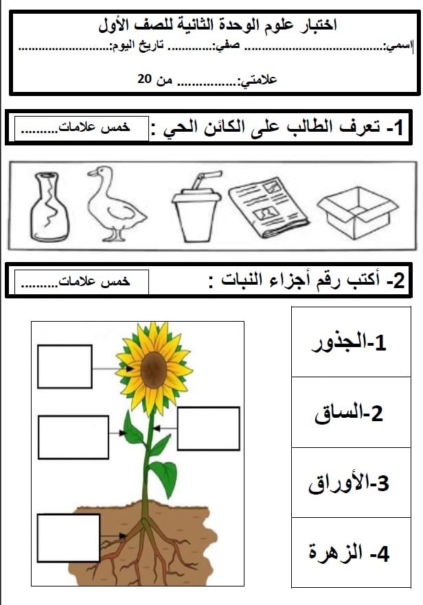 اختبار الوحدة الثانية العلوم المتكاملة الصف الأول