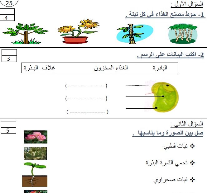 الاختبار التكويني الثاني العلوم المتكاملة الصف الأول