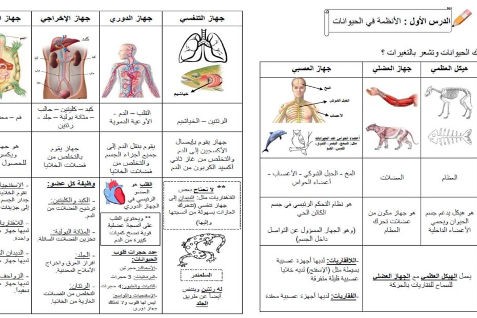 ملخص درسة الأنظمة في الحيوانات العلوم المتكاملة الصف الرابع - بوربوينت