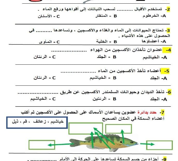 ورقة عمل الحيوانات وأعضاؤها العلوم المتكاملة الصف الثالث