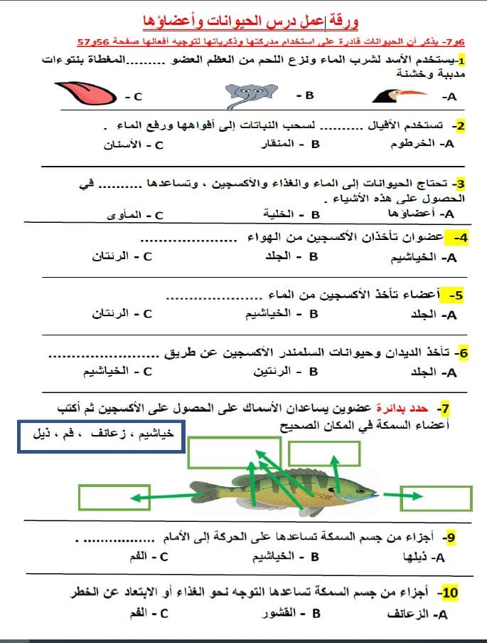 ورقة عمل الحيوانات وأعضاؤها العلوم المتكاملة الصف الثالث