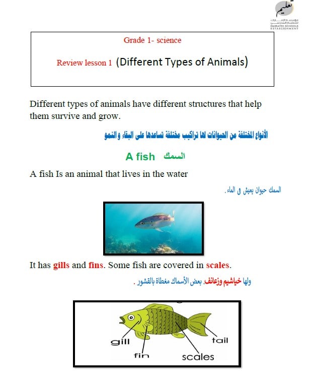 مراجعة Vocabulary Different Types of Animals العلوم المتكاملة الصف الأول