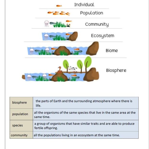 ملخص وأوراق عمل Resources in Ecosystems العلوم المتكاملة الصف السابع انسبير