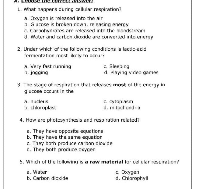 ورقة عمل Cellular Respiration العلوم المتكاملة الصف السابع