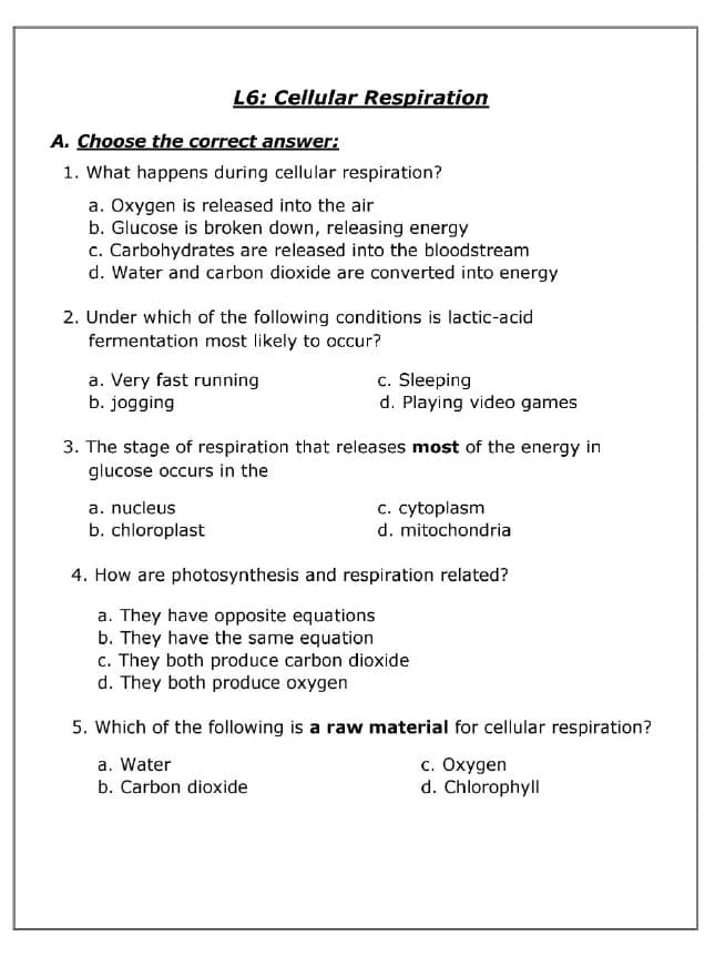 ورقة عمل Cellular Respiration العلوم المتكاملة الصف السابع