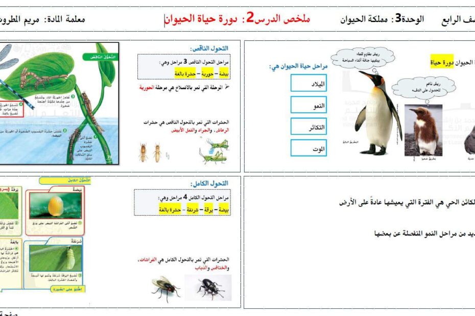 ملخص درس دورة حياة الحيوان العلوم المتكاملة الصف الرابع