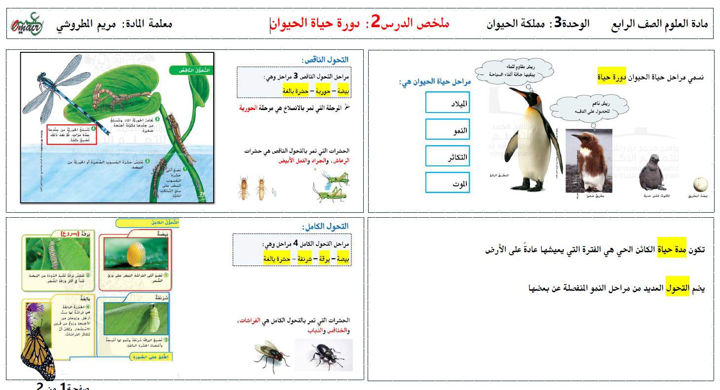 ملخص درس دورة حياة الحيوان العلوم المتكاملة الصف الرابع