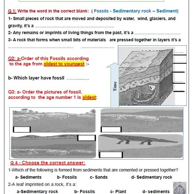 ورقة عمل Evidence from rock and fossils العلوم المتكاملة الصف الرابع