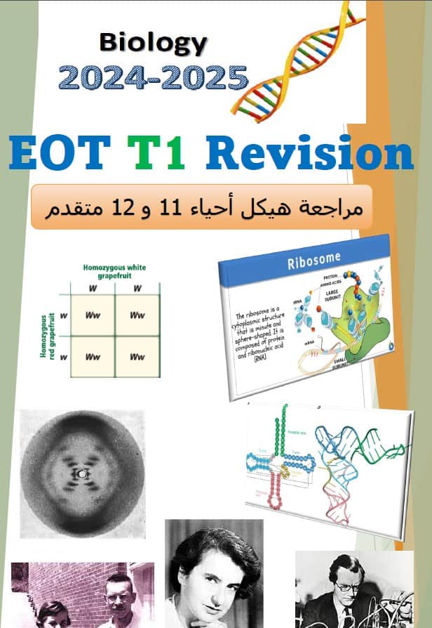 مراجعة هيكل Revision الأحياء الصف الحادي عشر متقدم 