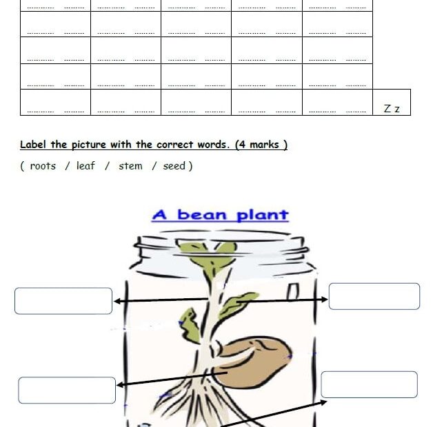 الاختبار التقويم الأول Unit 5 اللغة الإنجليزية الصف الثاني