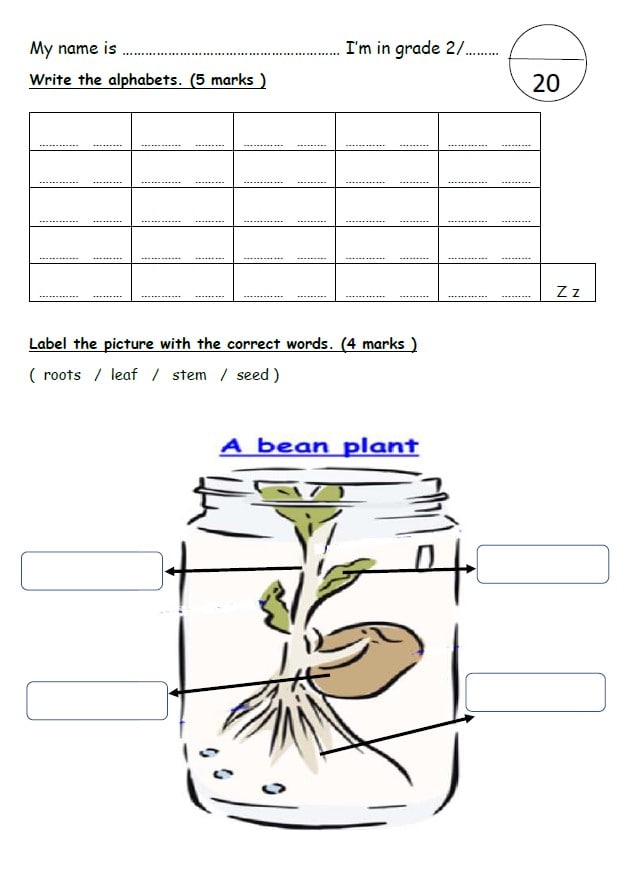 الاختبار التقويم الأول Unit 5 اللغة الإنجليزية الصف الثاني 