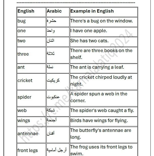 حل أوراق عمل الوحدة السادسة اللغة الإنجليزية الصف الثالث