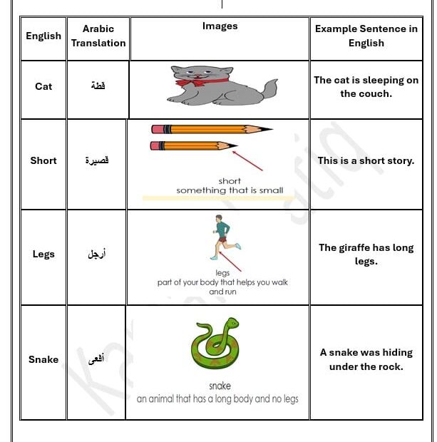 حل أوراق عمل مراجعة عامة اللغة الإنجليزية الصف الثالث