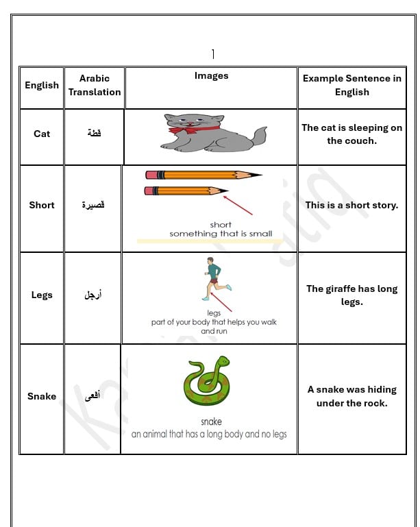 حل أوراق عمل مراجعة عامة اللغة الإنجليزية الصف الثالث