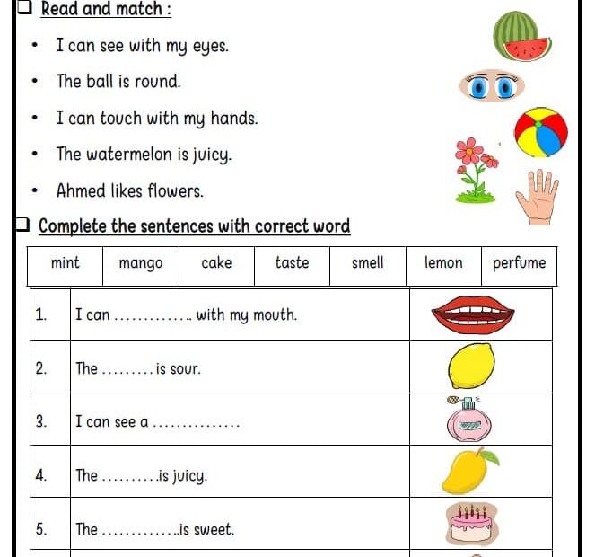 نموذج امتحان الوحدة السادسة اللغة الإنجليزية الصف الثاني