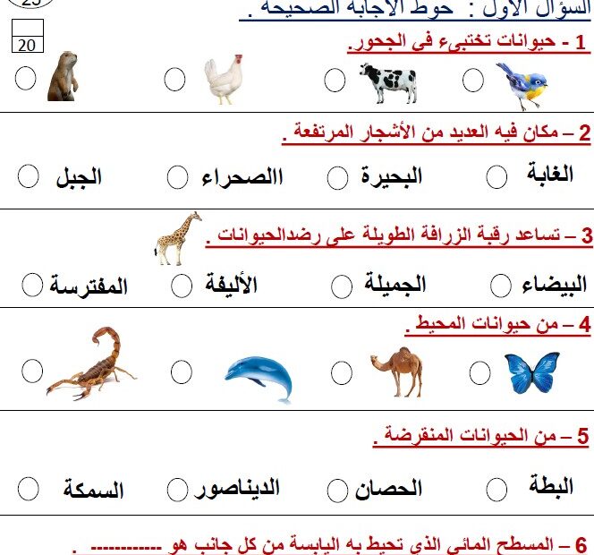 الاختبار الأول العلوم المتكاملة الصف الأول