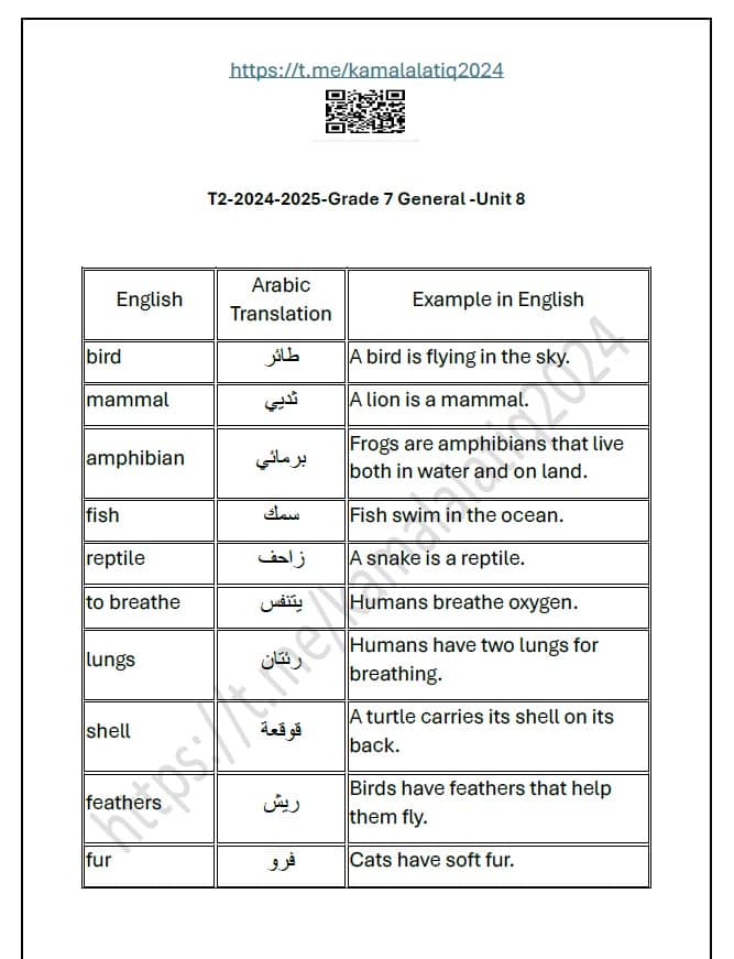 حل أوراق عمل الوحدة الثامنة اللغة الإنجليزية الصف السابع