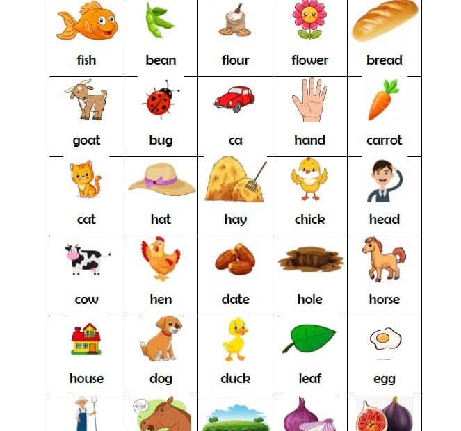 مراجعة عامة Nouns in unit 5 اللغة الإنجليزية الصف الثاني