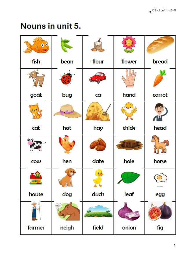 مراجعة عامة Nouns in unit 5 اللغة الإنجليزية الصف الثاني 